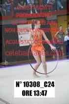 10308_C24