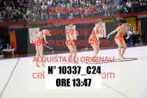 10337_C24