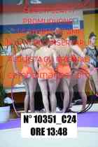 10351_C24