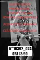 10392_C24