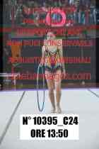 10395_C24