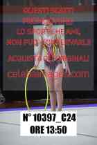 10397_C24