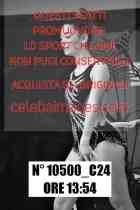 10500_C24