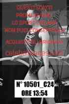 10501_C24