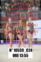 10539_C24