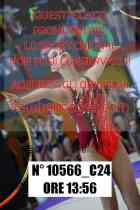 10566_C24