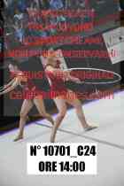 10701_C24
