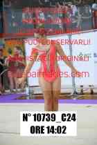 10739_C24