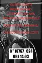 10767_C24