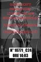 10771_C24