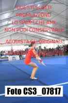 CS3_07817-