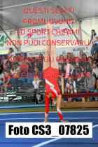 CS3_07825-