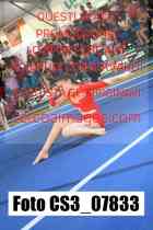 CS3_07833-