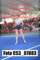 CS3_07883-