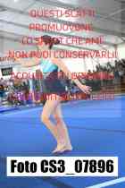 CS3_07896-