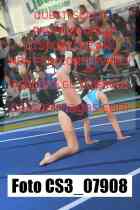 CS3_07908-