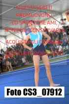CS3_07912-