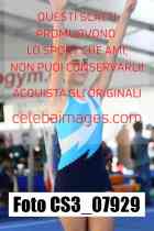 CS3_07929-