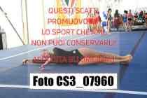 CS3_07960-