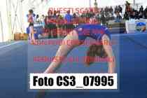 CS3_07995-