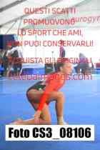 CS3_08106-
