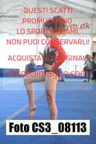 CS3_08113-