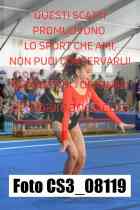 CS3_08119-