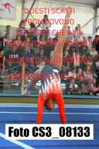 CS3_08133-