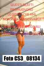 CS3_08134-