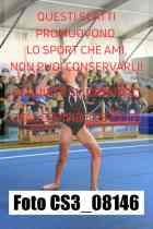 CS3_08146-