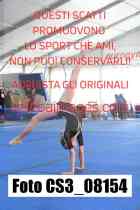 CS3_08154-