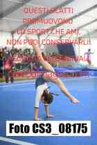 CS3_08175-