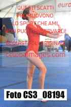 CS3_08194-