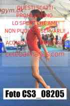 CS3_08205-