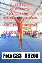 CS3_08208-
