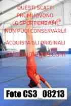 CS3_08213-