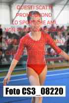 CS3_08220-