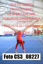 CS3_08227-