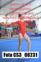 CS3_08231-