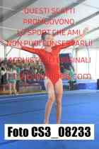 CS3_08233-