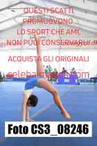 CS3_08246-