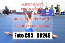 CS3_08248-