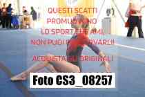 CS3_08257-
