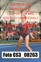 CS3_08263-