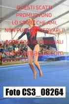 CS3_08264-