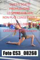 CS3_08268-