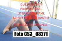 CS3_08271-