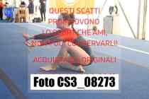 CS3_08273-