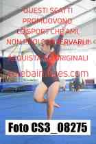 CS3_08275-