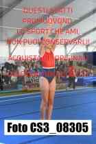 CS3_08305-